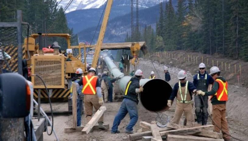 横山输油管项目被要求暂停树木清理活动。CBC