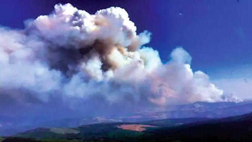 最近利顿山火导致的总值7800万元损失。卑诗山火服务处