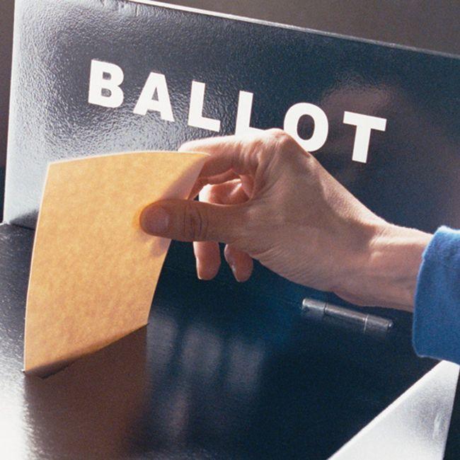 众多海外加国公民已申请远程投票。  星报图片