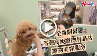 (視頻)全新開幕 荃灣高級寵物用品店 寵物美容服務