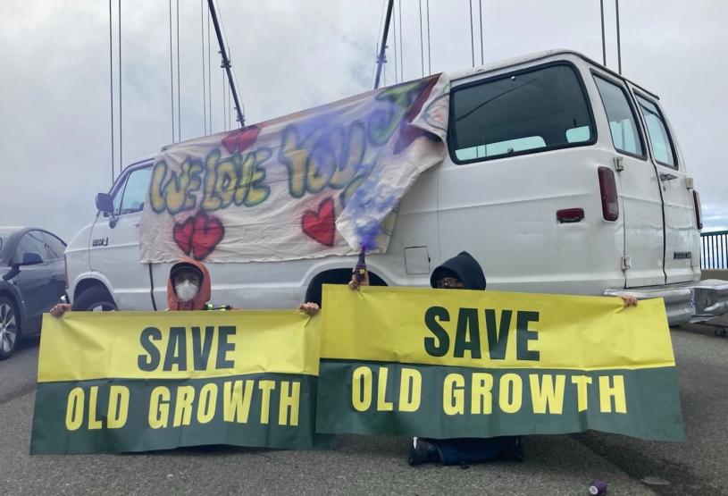 Save Old Growth成员以汽车堵塞狮门桥。Save Old Growth Twitter