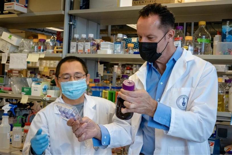 Zhong Yao博士（左）創建了一種能夠檢測中和抗體對不同新冠變種有效性的測試，Igor Stagljar博士（右）共同領導了這項研究。星報