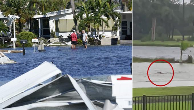 超级飓风“伊恩”蹂躏美国佛罗里达州，造成严重破坏后，现正吹向南卡罗来纳州，并再度增强。当局至今未公布确实的死伤人数，但有报道指至少有17人在风灾中死亡，超过200万户停电。总统拜登就形容“伊恩”可能是佛州史上最致命的风暴，他已责成相关部门尽全力救灾，为有需要的居民提供协助，并着手在各个灾区进行重建。“伊恩”挟带狂风暴雨，令当地水浸严重，高涨的洪水最深超过3米，甚至有民众拍到鲨鱼在街道上游泳的画面。