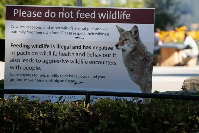 史丹利公園有告示牌，呼籲民眾切勿餵食野生動物。加通社資料圖