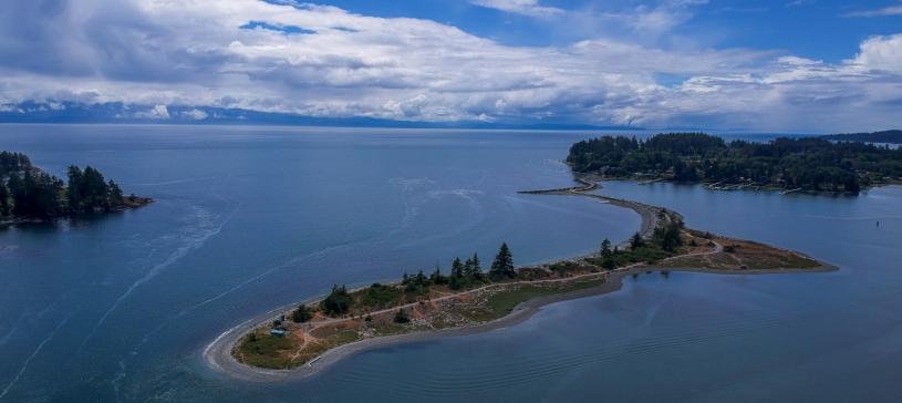 在溫哥華島僻靜的西海岸，有太平洋西北部保存最完好的秘境——蘇克。網上圖片
