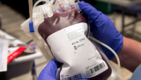 病人拒絕接受新冠疫苗捐血者血液 醫生重申屬錯誤資訊