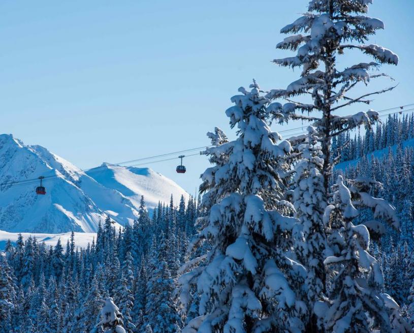 预计接下来的7天内，加拿大10个省和地区会看到雪花飞扬。 星报资料图片
