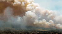 美國南非300名消防員來加撲救空前大山火