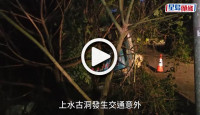 (視頻)上水綠van失控撞樹險墮坡 司機一度被困