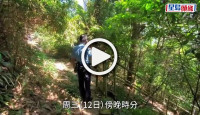 (視頻)行山意外｜外籍男行山失蹤通宵未歸 被發現倒斃舊山頂道斜坡