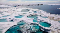 加拿大愿与美国合作解决北冰洋海底主权争议