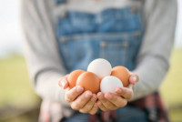 怕膽固醇高一日可吃多少隻雞蛋？烚蛋/煎蛋/蒸蛋/炒蛋 2種食法可吸收100%營養