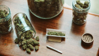全国大麻销售额  哪个省最多?前三甲有点令人意外