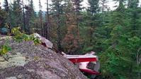 加观光飞机森林坠毁6死　