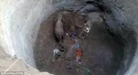 印度村民挖井救象B　