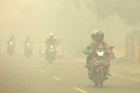 印尼霾害增至19死
