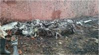 印度邊境部隊飛機墜毀10死