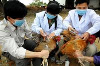 上海发现输入性H7N9禽流感病例