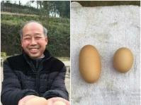 重慶母雞生連體蛋　長9厘米較正常大一倍