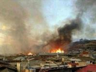 香格里拉森林大火　出动逾1800人扑救　　