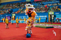 环球35队逾300人比赛4日  加队扬威龙狮赛 征上海夺5金1银