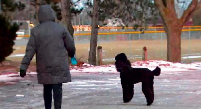 ■警方提遛狗人士，留意公園可疑活動。CTV