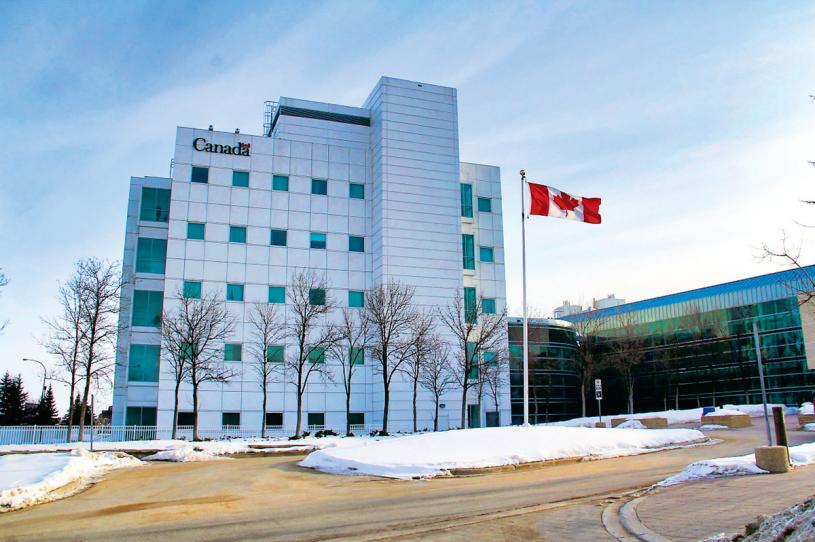 ■温尼辟的加拿大国家微生物实验室。 星报
