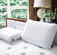 BedStory防塵蟎、低過敏性記憶矯形枕$37.39