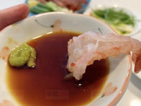 【視頻新聞】時令海鮮之二：斑點蝦吃法大全 嘗遍肥美肉質