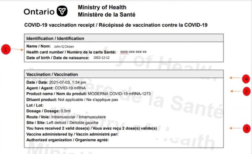 疫苗證書上會被查核的四個要點。