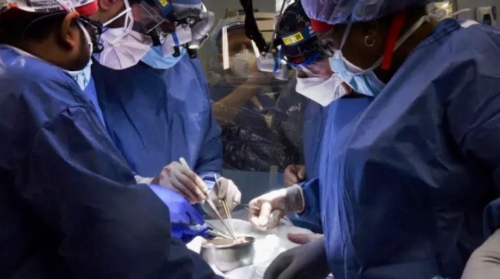 猪心脏移植人体世界首例  动物器官为病人带来希望