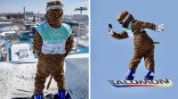 【北京冬奧】法國女選手因傷無法參賽  老虎裝滑下告別單板滑雪