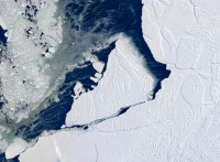南極洲創攝氏4.9度紀錄  比正常高30多度