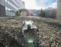 MIT迷你机器人新模式  行动和学习“全自动波”