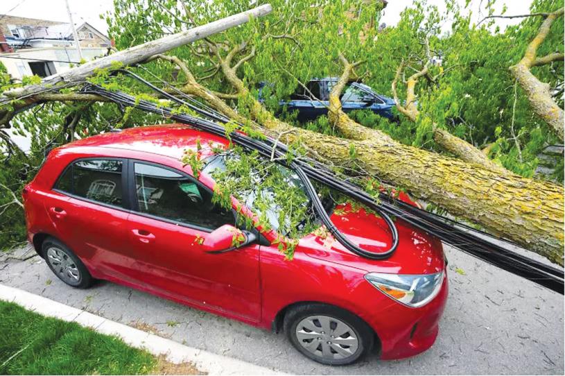 风暴中，大树电线杆把汽车压倒。加通社
