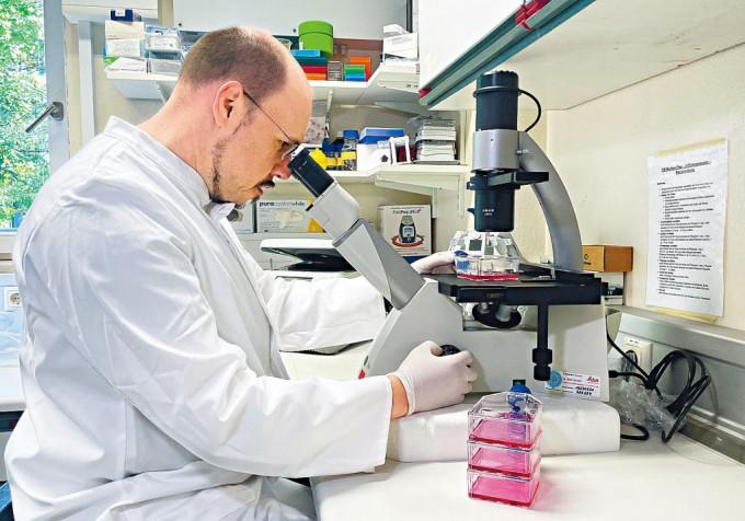 德國軍方微生物研究院院長韋爾費爾，上周五在實驗室研究猴痘病毒。