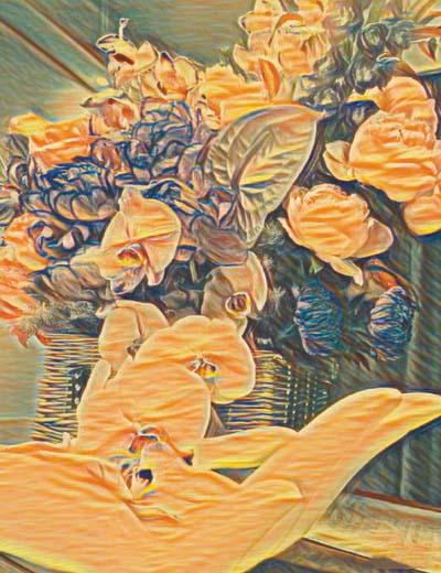 謝楠分享的蝴蝶蘭畫作。 網上圖片