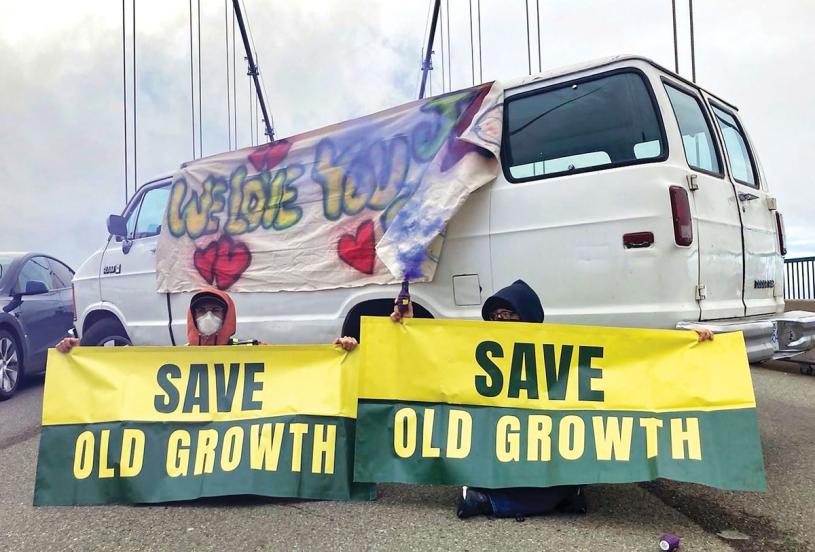 ■组织成员以汽车堵塞狮门桥。 Save Old Growth/Twitter