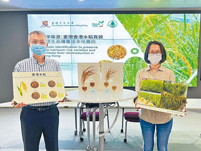 图为项目负责人香港中文大学卓敏生命科学教授林汉明教授（左）及渔农自然护理署农业主任王敏维女士（右）。