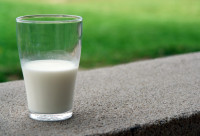 世界牛奶日｜新膳食指南每日饮食奶类制品300至500克