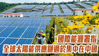 國際能源署指全球太陽能供應鏈過於集中在中國