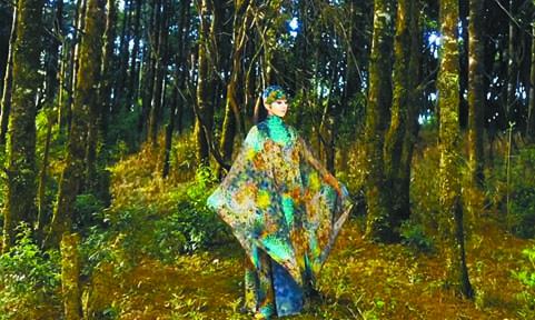■楊麗萍穿著孔雀服在樹林跳舞。
網上圖片