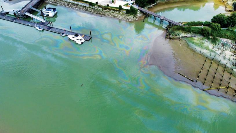 ■加里岬公園的海灘水面發現一大片污染物。 StevestonShips/Twitter
