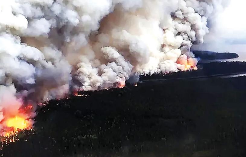 ■森林火災的多寡主要受天氣因素影響。 
Global News