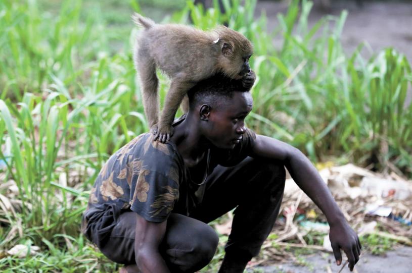 專家認為「猴痘」這個病名可能對猴類和非洲大陸產生污名化，呼籲全球民眾為其改名。圖為一名男子與猴子在玩耍。法新社