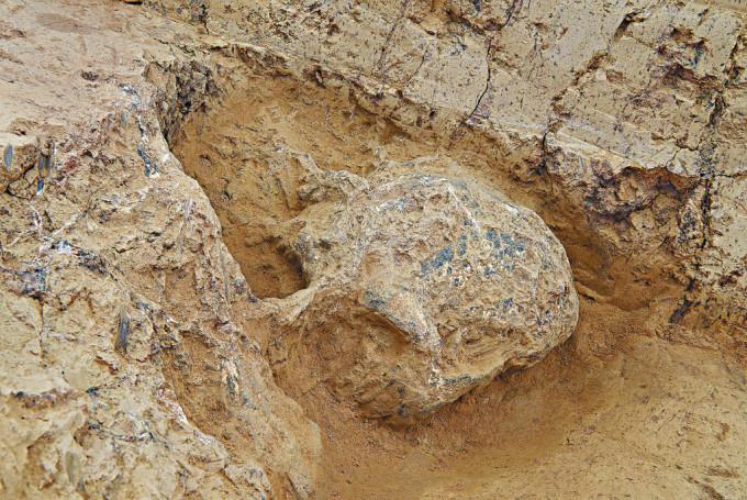 湖北十堰学堂梁子遗址，近日发现一具古人类头骨化石。