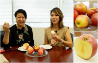 【康翠莹试食直击】“苹果之王”甜或酸？ 教你分辨五种常见苹果