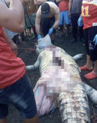 8歲童父母面前遭巨鱷扯丟頭臚慘死  屍體被拖走  村民開膛暴獸找回殘骸