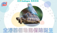 OneDegree推全港首個龜鳥保險 1歲至10歲皆可投保