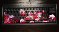 超酷鍵盤下藏彩色屏幕  一邊打字一邊魚樂無窮